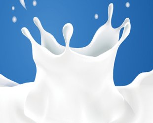 Молочные продукты